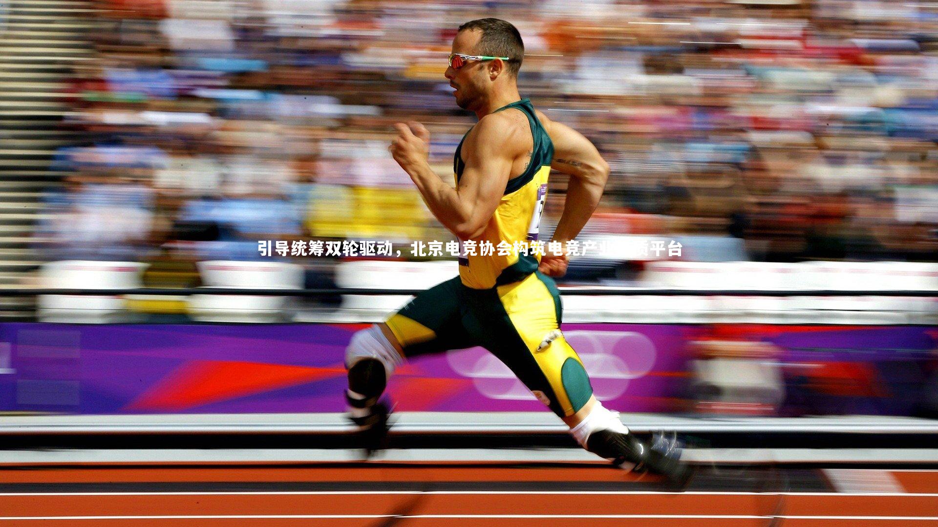 【友博体育网页版】引导统筹双轮驱动，北京电竞协会构筑电竞产业优质平台